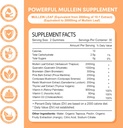 mullein-gummies-for-clear-lungs-10-in-1--2.jpg
