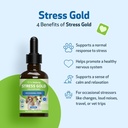 pet-wellbeing-stress-gold-for-dogs---vet-4.jpg