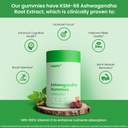 supply6-ksm-66-ashwagandha-vitamin-d-gum-3.jpg