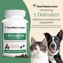 5-defenders-mushroom-supplement-for-cats-2.jpg