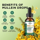 liquid-magnesium-supplement-mullein-drop-5.jpg
