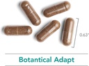 nutricology-botanical-adapt---stress-sup-5.jpg