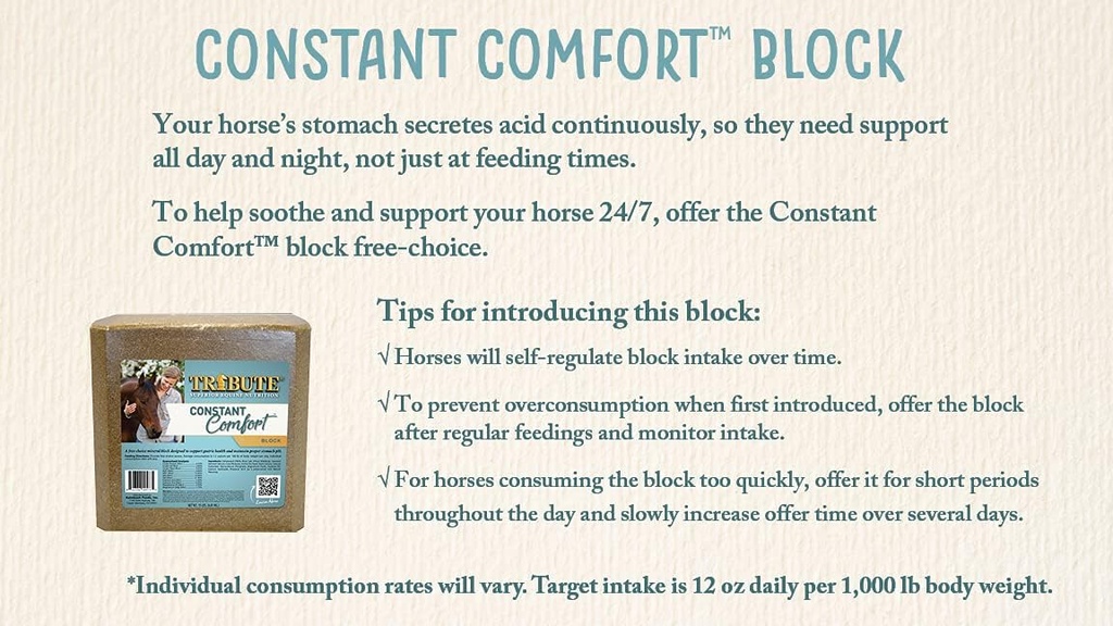 constant-comfort-supplement-block-to-sup-2.jpg