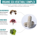 organic-iodine-supplement-from-sea-veget-3.jpg