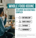 organic-iodine-supplement-from-sea-veget-4.jpg