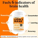 50x-strength-potency-brain-supplements-f-2.jpg