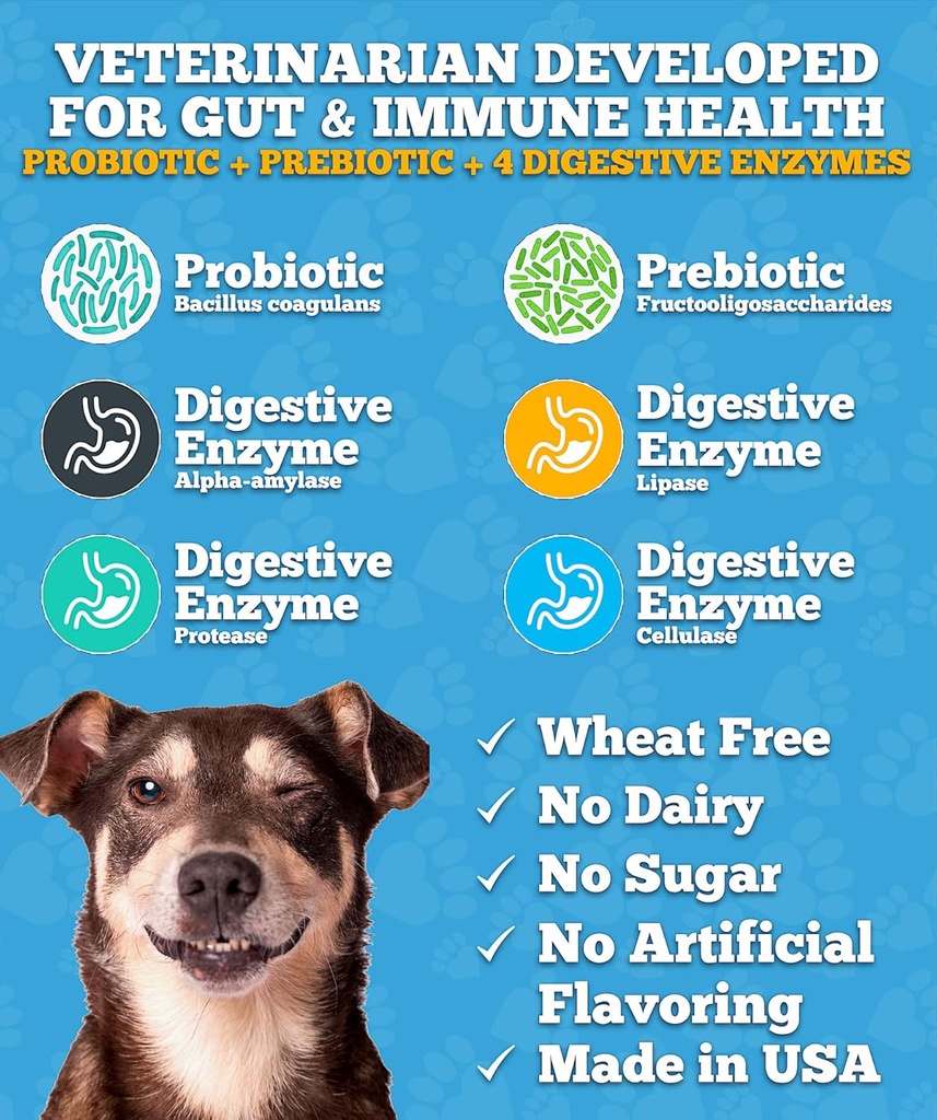 probiotics-for-dogs-dog-probiotics-made--4.jpg