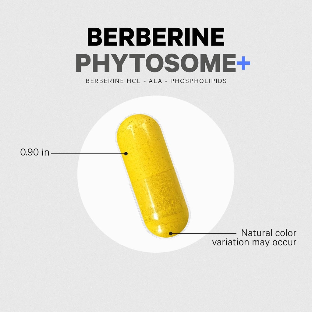 codeage-berberine-phytosome-supplement---6.jpg