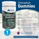 trace-minerals-chlorophyll-gummies-100mg-4.jpg