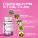 lactation-and-postnatal-support-gummies--5.jpg