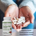 herb-science-berberine-1000mg-of-berberi-3.jpg