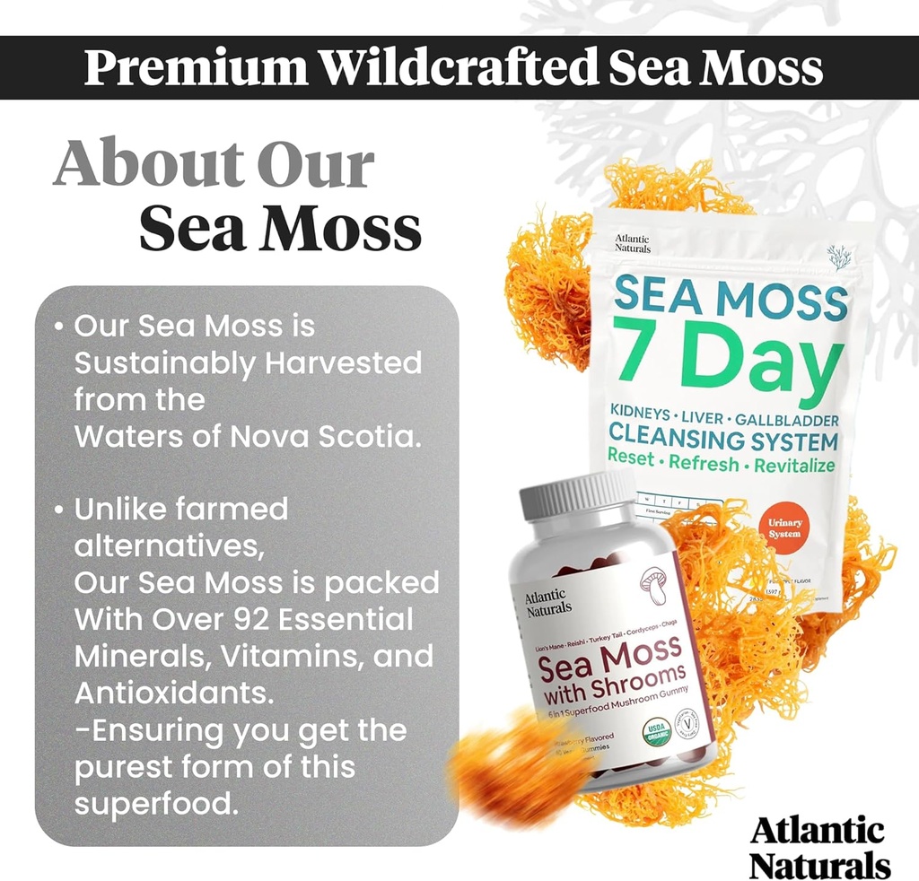 atlantic-naturals-sea-moss-superfood-bun-3.jpg