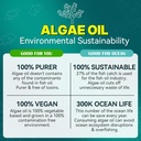 algae-omega-3-gummies-1000mg-plant-based-4.jpg