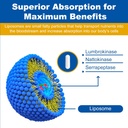 liposomal-lumbrokinase-nattokinase-serra-3.jpg