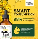 wild-organic-mullein-tincture---lung-cle-4.jpg