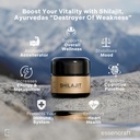 organic-himalayan-shilajit-resin---500mg-4.jpg