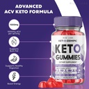 rize-labs---ket-o-zempic-keto-acv-gummie-2.jpg