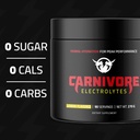 premium-hydration-powder-for-carnivore-d-2.jpg