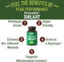 primavie-purified-shilajit-capsules-made-2.jpg