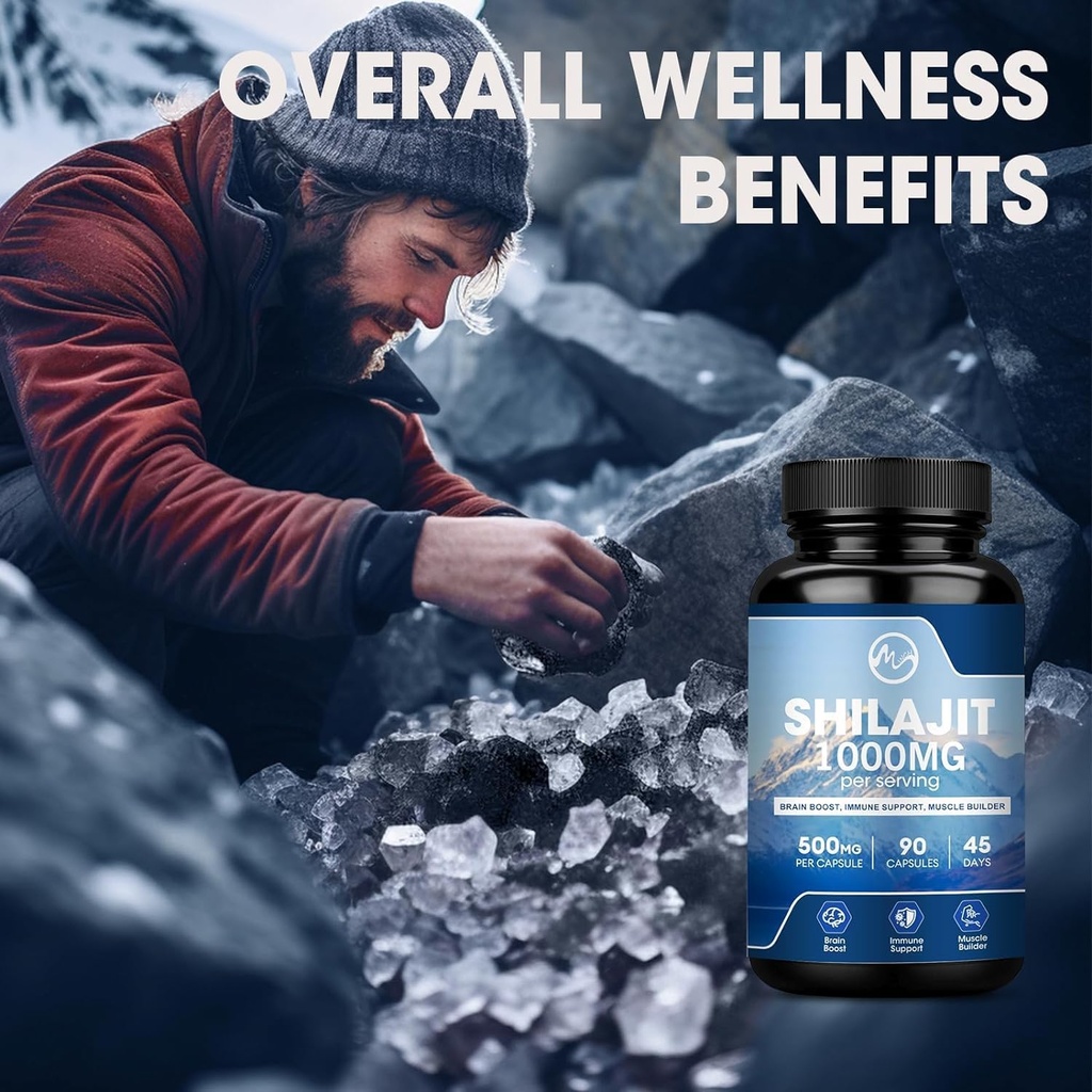 shilajit-supplement-shilajit-capsules-wi-5.jpg