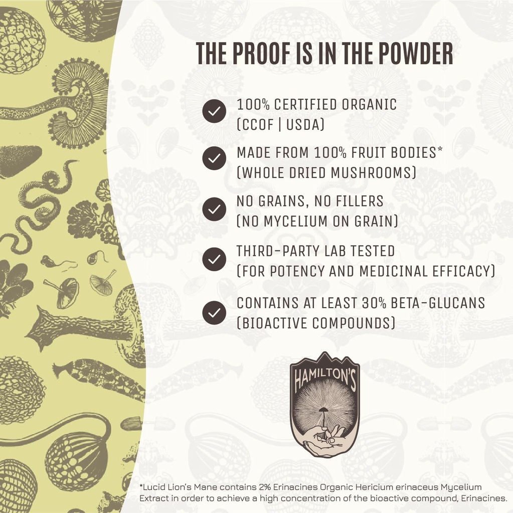 hamiltons-lucid-lions-mane-organic-mushr-5.jpg