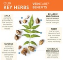 himalaya-veincare---herbal-vein-support--4.jpg