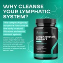 herbal-lymph-system-support-supplement---5.jpg