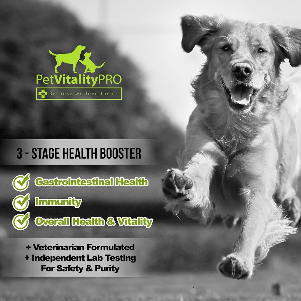 probiotics-for-dogs-with-natural-digesti-4.jpg