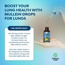 usda-organic-mullein-drops-for-lungs---h-3.jpg