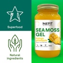 sea-moss-gel-organic-raw-bundle-of-2-jar-4.jpg