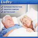 livdry-adult-incontinence-underwear-over-4.jpg