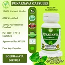 punarnava-capsules-boerhaavia-diffusa-50-5.jpg