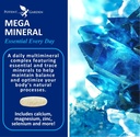 potent-garden-mega-mineral-supplement-co-2.jpg