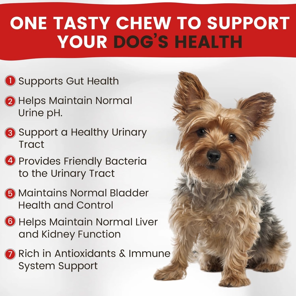 cranberry-supplement-for-dogs-urinary-tr-3.jpg