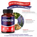 fadogia-agrestis-supplement-with-turkest-5.jpg