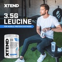 xtend-original-bcaa-powder-7g-bcaa-and-2-4.jpg
