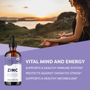 vimergy-organic-zinc-supplements-for-wom-2.jpg