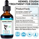 kennel-cough-treatment-for-dogs-dog-kenn-6.jpg