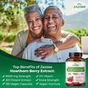 zazzee-extra-strength-hawthorn-berry-201-2.jpg