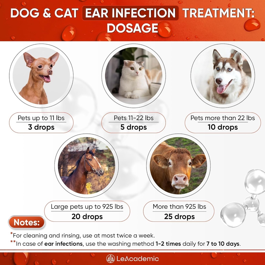 dog-ear-infection-treatment-otic-ear-inf-5.jpg