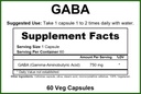greenpacks-gaba-750-mg-supplement---60-c-2.jpg