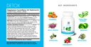 yes-you-can-detox-plus-kit-meal-replacem-3.jpg