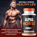 1-pack-alpha-horse-max-capsules-all-natu-4.jpg