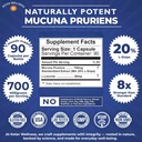mucuna-pruriens-l-dopa-20-l-dopa-velvet--4.jpg