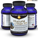 mucuna-pruriens-l-dopa-20-l-dopa-velvet--6.jpg