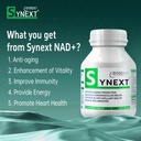 synext-nmn-supplement-alternative---4-pa-3.jpg