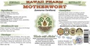 motherwort-alcohol-free-liquid-extract-m-2.jpg
