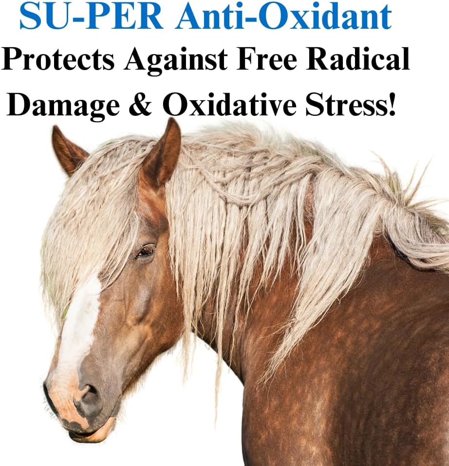 su-per-anti-oxidant-supplement-for-horse-2.jpg