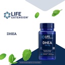 life-extension-dhea-hormone-balance-zinc-3.jpg