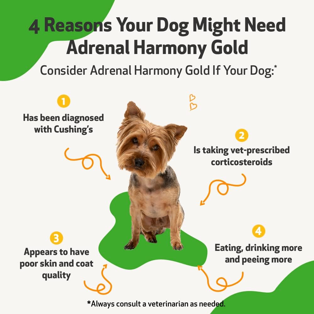 pet-wellbeing-adrenal-care-kit-for-dogs--3.jpg